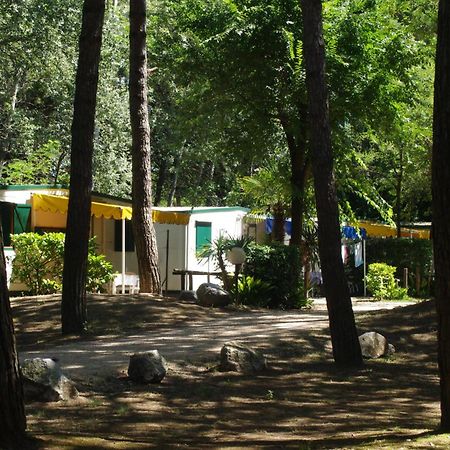 Holiday Center Valdor คาวัลลิโน-เตรปอร์ติ ภายนอก รูปภาพ